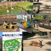 福岡好去處