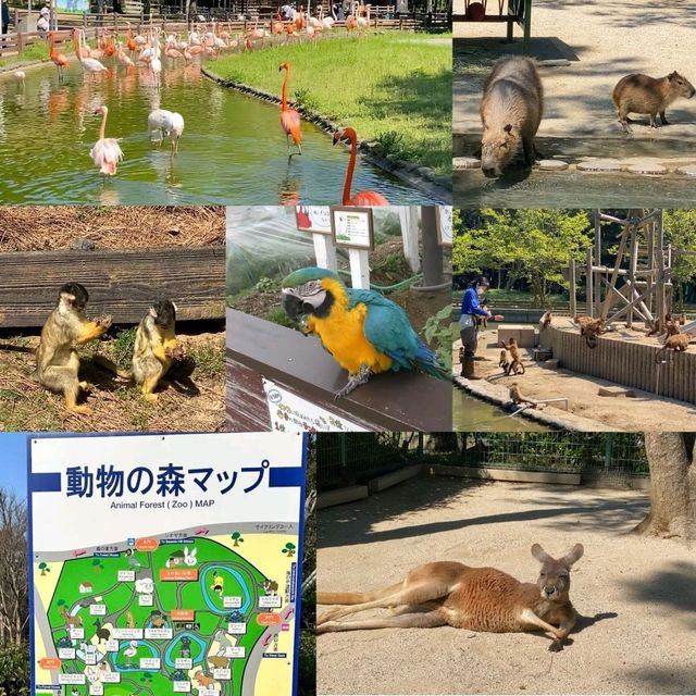 福岡好去處