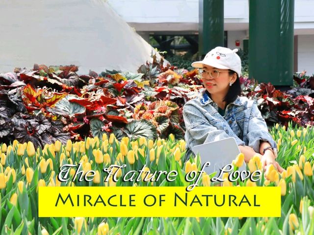 Miracle of Natural สวนดอกไม้เมืองหนาว ระยอง