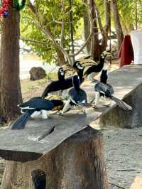 อุทยานแห่งชาติหมู่เกาะอ่างทอง🕊️🦜🏝️