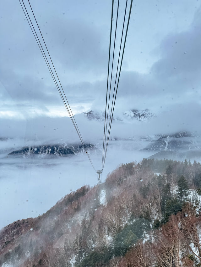 來搭一趟新穗高纜車會被雪景震撼到🩵🤍🚠
