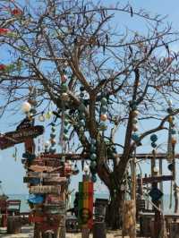 #สุราษฎร์