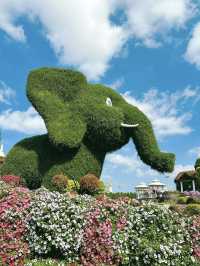 Dubai Miracle Garden: A Floral Wonderland in the Desert