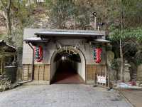 Winter with Nanzoin temple