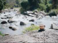 ไปฮีลใจใกล้ชิดธรรมชาติ Stay Wild & Cafe