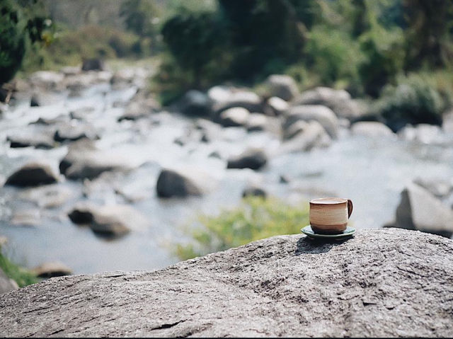 ไปฮีลใจใกล้ชิดธรรมชาติ Stay Wild & Cafe