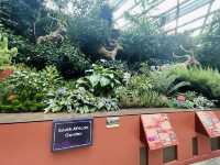 四季都可以賞花的Flower dome