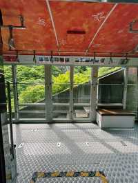 日本三大渓谷美！絶景の寒霞渓を空中散歩🚠🍁