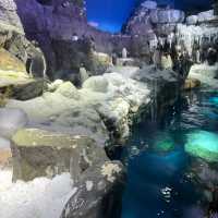 Osaka Aquarium Kaiyukan (海遊館) – One of the World’s Best Aquariums
