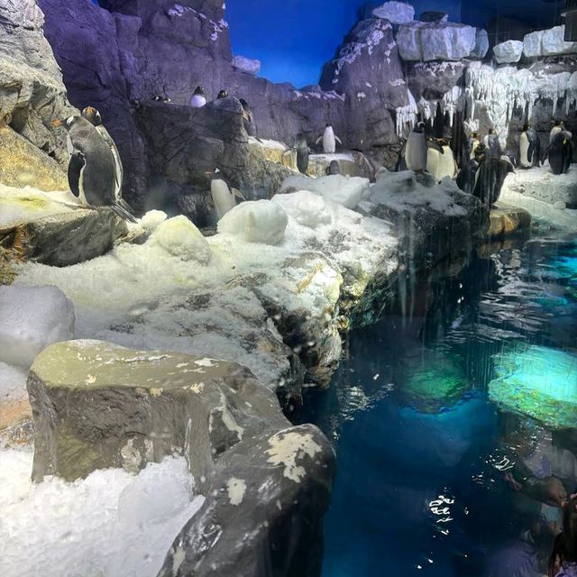 Osaka Aquarium Kaiyukan (海遊館) – One of the World’s Best Aquariums