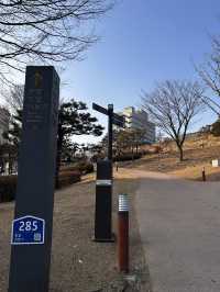 동대문역의 도심속 너무나도 조용한 쉼터 흥인지문공원🇰🇷