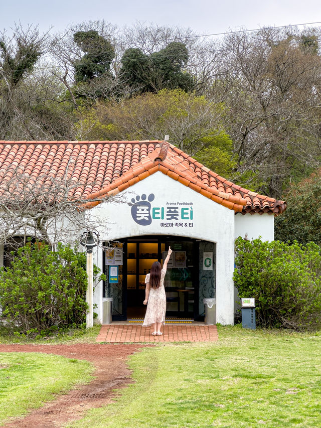 기차 타고 떠나는 30만평 곶자왈 여행🚂