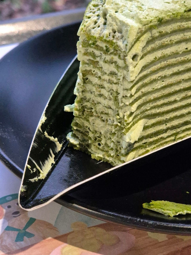 🌳🍵☕️제주 서쪽 가볼만한 곳 오설록 티뮤지엄 