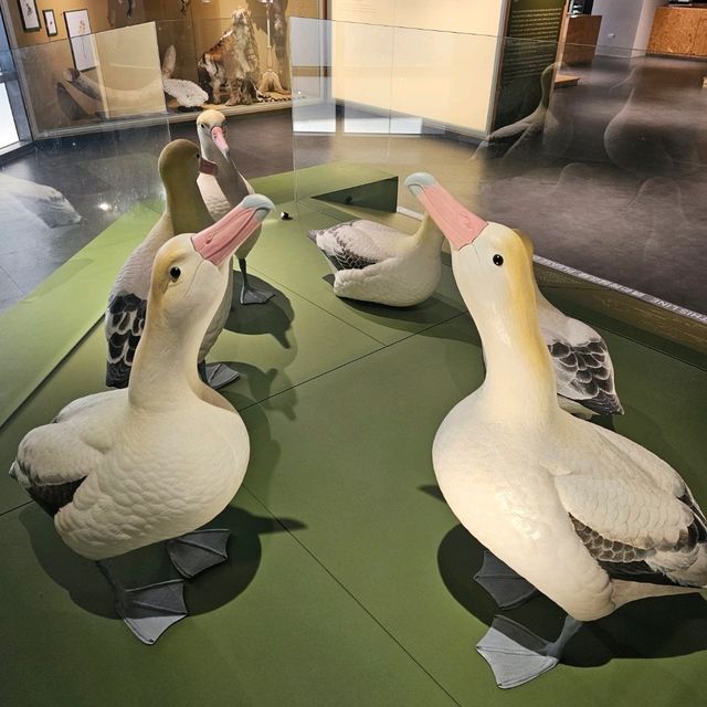 【台北】定期推出不同主題的科學特展，每次展覽都極具教育與娛樂性。