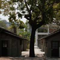 碧湖公園：在“城市綠洲裡尋找孩子的歡笑” 🌊🌳