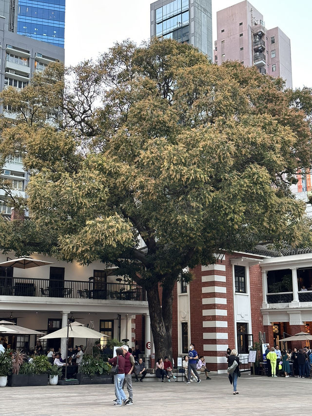 🇭🇰 香港中環區打卡位✨