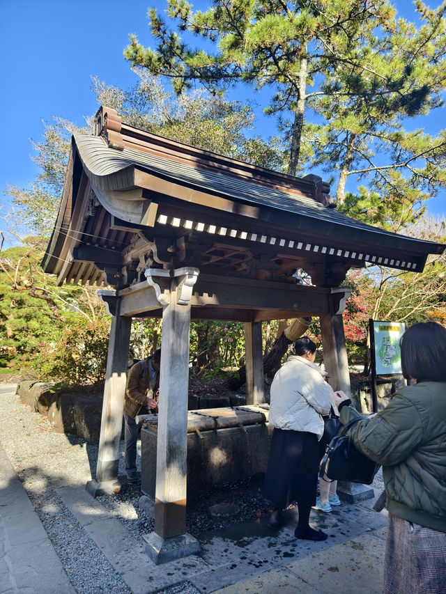 參拜日本第二高的佛像