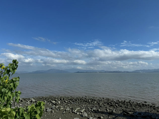 海岸線都市綠洲 深圳灣公園🌿