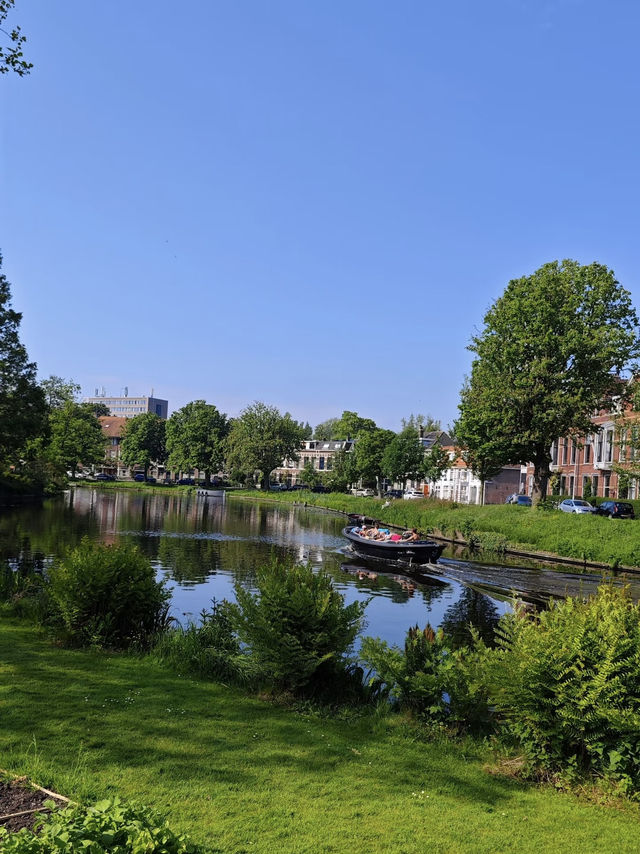 Hortus Botanicus Amsterdam: A Green Oasis in the Heart of the City