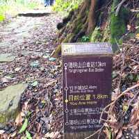 竹子湖ㄧ日遊