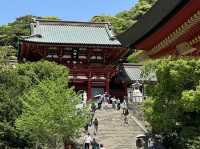 Explore the Serenity of Tsurugaoka Hachimangu in Kamakura