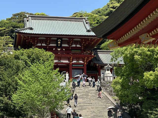 Explore the Serenity of Tsurugaoka Hachimangu in Kamakura