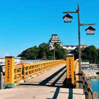 海と空に映える名城！絶景の唐津城🏯✨