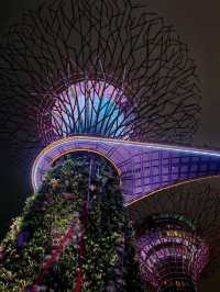 Why you must visit Gardens by the bay when you visit Singapore