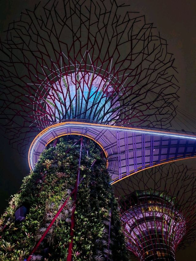 Why you must visit Gardens by the bay when you visit Singapore
