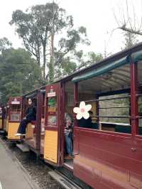 澳洲墨爾本_ 超值得一去「普芬比利蒸汽小火車」🚂