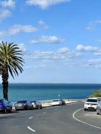 A Relaxing Day by the Waterfront in Geelong
