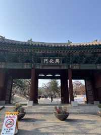 조용하게 전시도 보고 마을 산책하기 좋은 돈의문🙌🏻