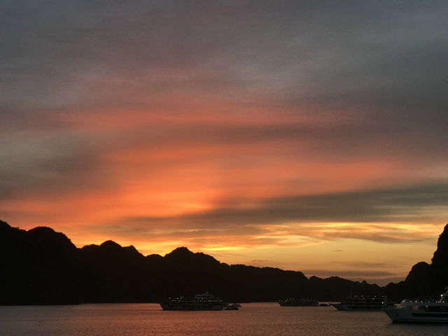 🚢🌊 下龍灣郵輪 2 天 1 夜 夢幻之旅 🌊🚢