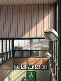 성수