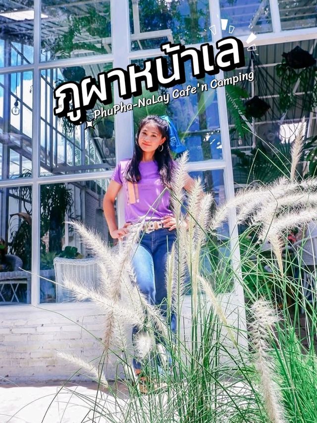ภูผาหน้าเล.. คาเฟ่ริมทะเล 🏝 สุดชิลล์ชุมพร