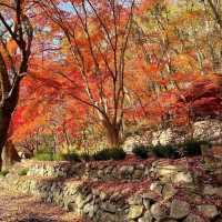 Naejangsan National Park