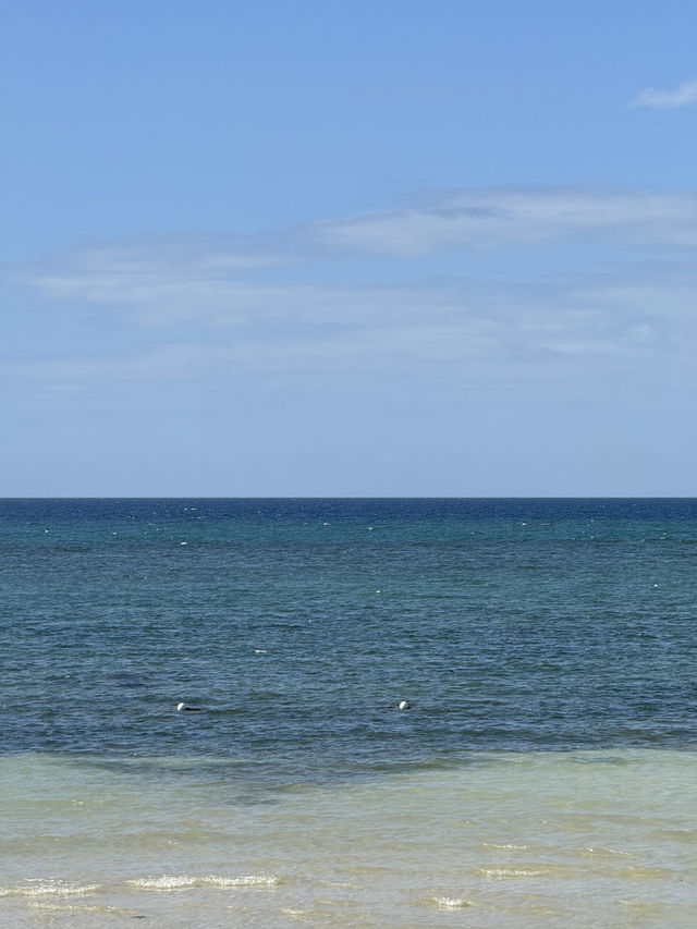 SOLO BEACH CAMP: NOISE OF THE WAVES