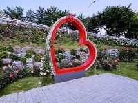 Jungnang Rose Park Rose Festival Review