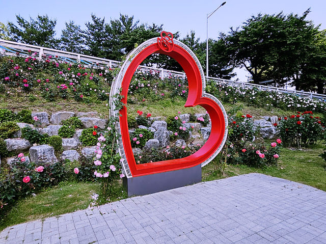 Jungnang Rose Park Rose Festival Review