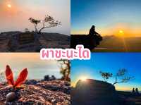 ผาชะนะได