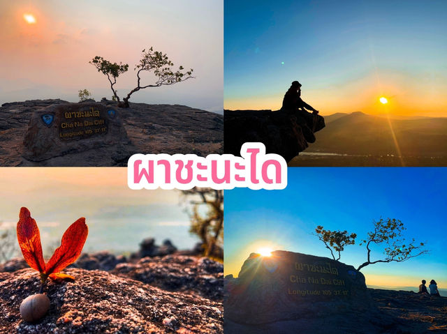 ผาชะนะได
