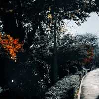 🇰🇷韓國釜山東萊