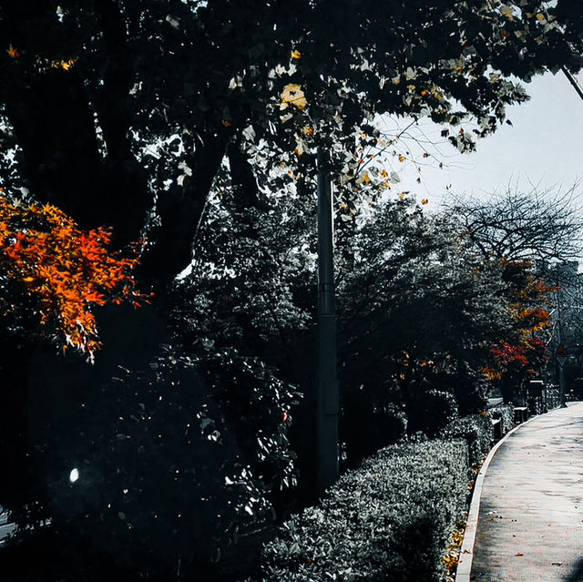 🇰🇷韓國釜山東萊