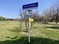 💕洛陽世外桃源✨隋唐城遺址植物園🌳