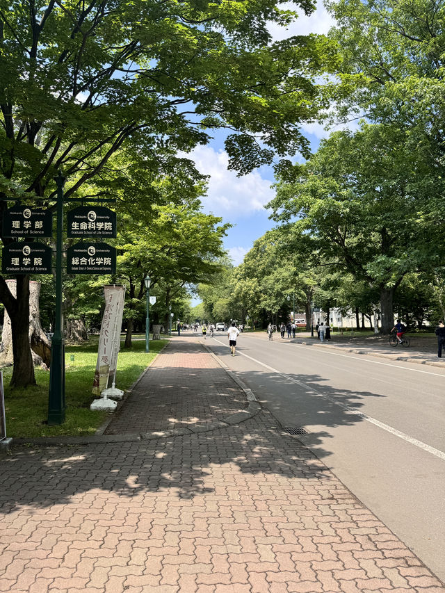 삿포로 필수 근교여행 오타루 기행