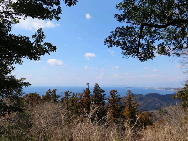 神奈川県の三浦トレイル