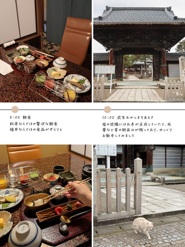 【福井】越前ならここ行って！2泊3日旅行プラン🚄