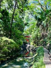 Spring Stroll at Todoroki Valley☘️
