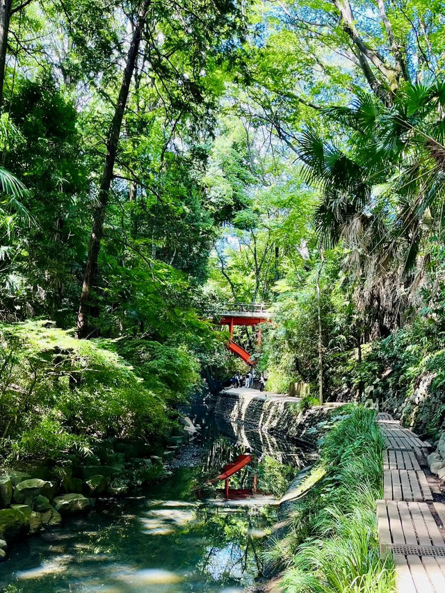 Spring Stroll at Todoroki Valley☘️