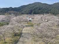 【錦帯橋】